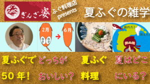 ぎんざ姿 の 夏ふぐ料理 の紹介
