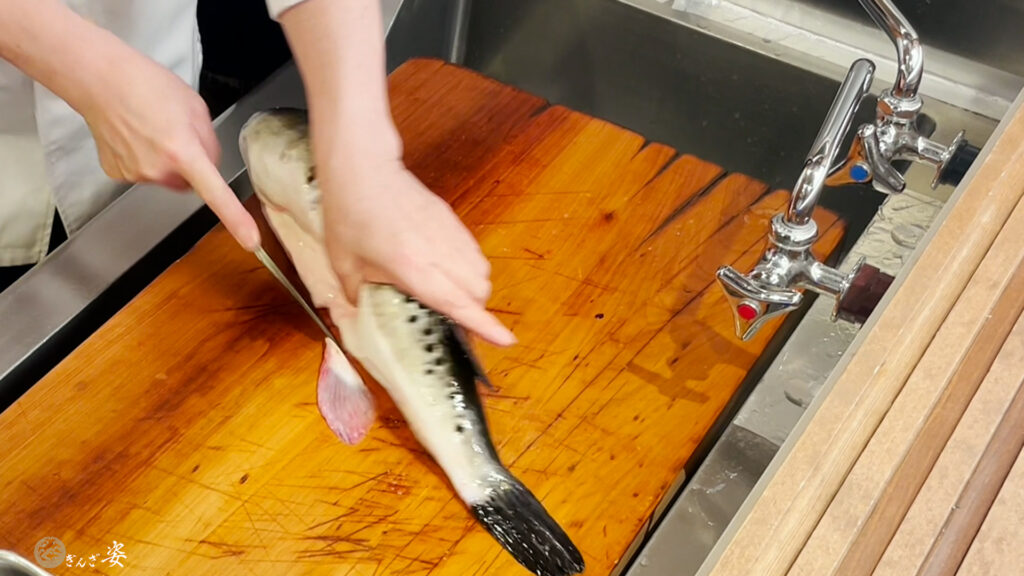 ふぐをさばく